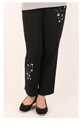 ��ǰ�̹���